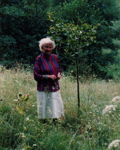 auf der Wiese mit ihrem Gingkobaum