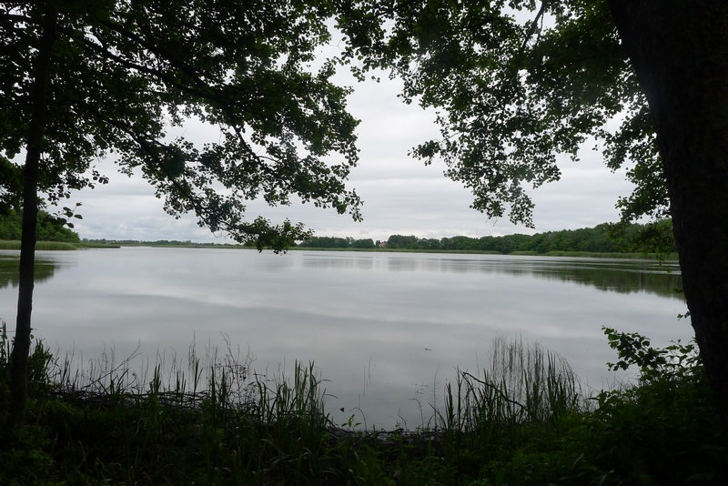 Kurische Nehrung Chayka See