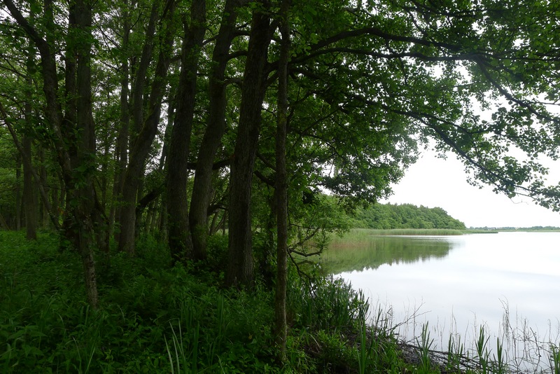 Kurische Nehrung Chayka See