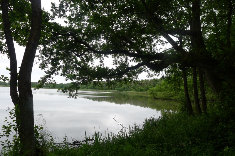 Kurische Nehrung Chayka See