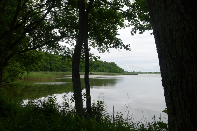 Kurische Nehrung Chayka See