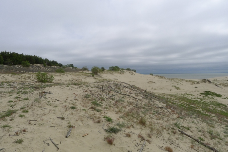 Kurische Nehrung / Haff : Dünen