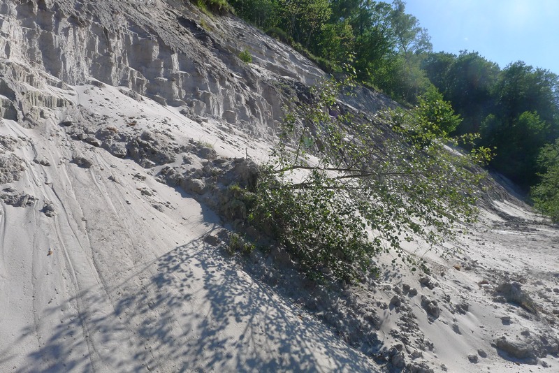 Ostsee светлогорск