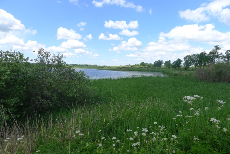 Auf dem Weg zum Naturpark Vishtynetsky виштынецкий: