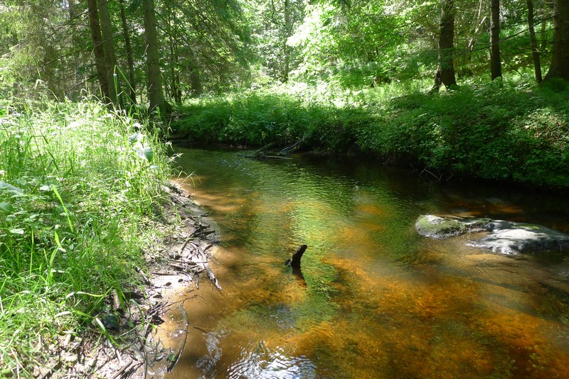 Naturpark Vishtynetsky виштынецкий: