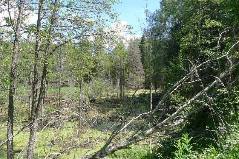 Naturpark Vishtynetsky виштынецкий