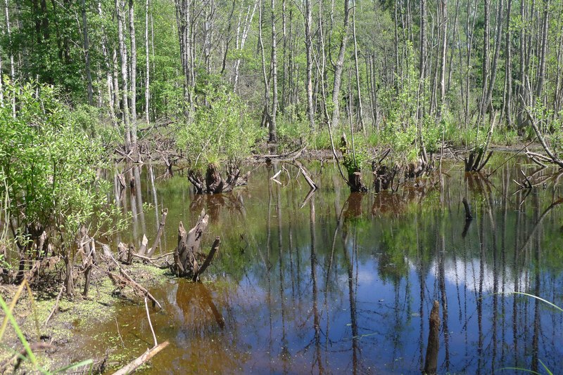 Naturpark Vishtynetsky виштынецкий